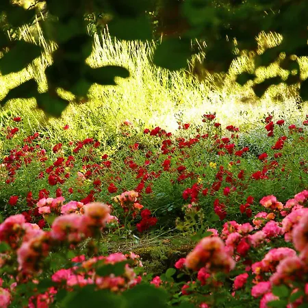 La Mirande En Ardeche Bed & Breakfast *
